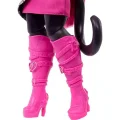 BUĞZ Monster High Acayip Havalı Arkadaşlar Catty Noir
