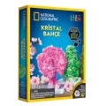 BUĞZ Natgeo Kristal Bitki Kiti