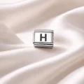 BUĞZ Nomination Uyumlu H Harf Charm , Çelik Bileklik Aksesuarı , Kişiye Özel Harf Modülü , Minimal & Şık Tasarım