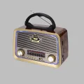 BUĞZ Nostalji Bluetooth Radyo FM AM SW Ahşap Eskitme Tasarım Yeni Nesil - BUĞZ