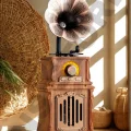 BUĞZ Nostaljik Radyo - Renk: Kahverengi, Bluetooth, Özellik: Kablosuz | Teknik Özellikleri ve Kullanım