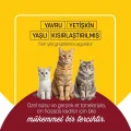 BUĞZ Petzzcats Tavuk & Kalamar Konserve Kedi Maması 1 Adet 70 gr
