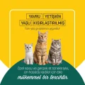 BUĞZ Petzzcats Ton Balığı & Kalamar Konserve Kedi Maması 1 Adet 70 gr