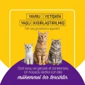 BUĞZ Petzzcats Ton Balığı & Midye Konserve Kedi Maması 1 Adet 70 gr
