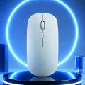 BUĞZ PG-908 MOUSE BEYAZ