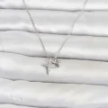 BUĞZ Pirinç Gümüş Renk Minimal Kutup Yıldızı Model Kadın Kolye