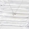 BUĞZ Pirinç Gümüş Renk Minimal Kutup Yıldızı Model Kadın Kolye