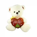 BUĞZ PJH2323 PELUŞ 30CM I LOVE YOU KALPLİ AYI -VRD