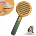  Plastik Yeşil Evcil Hayvan Bakım  Pet Fırçası Çok Amaçlı Pet Fırçası Yeşil