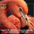 BUĞZ Projektör 4K Android 11 Dual Wifi6 260ANSI BT5.0 1080P 1280x720 çözünürlük destekli