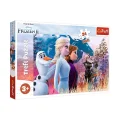  PUZZLE-14298 Frozen II 24 Parça Maxi Çocuk Puzzle
