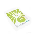 BUĞZ PVC Duş Perdesi - Çift Kanatlı - 12 Halkalı - 90x180 cm
