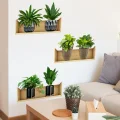 BUĞZ Raflı Bitki Tasarımlı Yapışkanlı Sticker 20*30 Cm 3lü Set Bx40