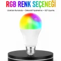 BUĞZ Renk Değiştiren RGB LED Ampul 16 Renk Uzaktan Kumandalı 2025 Model