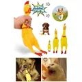  Ses Çıkaran Tavuk Kedi Köpek Oyuncağı 30 cm.