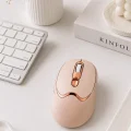 BUĞZ Sessiz Tıklama Özellikli Şarjlı Kablosuz Mouse Çoklu Cihaz Uyumlu