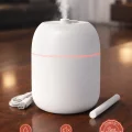 BUĞZ Sessiz Ultrasonik Hava Nemlendirici 220ml Buhar Makinesi Gece Lambalı USB Ofis Ev Tipi