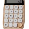 BUĞZ Sevimli Kare Tuşlu 10 Haneli Ldc Ekran Hesap Makinası Kahverengı
