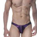 BUĞZ Simli Erkek Slip Fantezi İç Giyim
