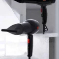 BUĞZ Soğuk ve Sıcak Üfleme Özellikli AC Motorlu Saç Kurutma Makinesi