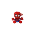  SPİDERMAN FLOOPY REG