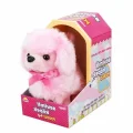 BUĞZ Sevimli Köpek Poodle