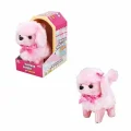 BUĞZ Sevimli Köpek Poodle