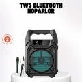 BUĞZ Taşınabilir 6.5” Bluetooth Hoparlör USB TF Kart Mikrofonlu Şarjlı Sistem