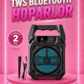 BUĞZ Taşınabilir 6.5” Bluetooth Hoparlör USB TF Kart Mikrofonlu Şarjlı Sistem