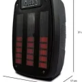 BUĞZ Taşınabilir 6.5 inç LED Bluetooth Kareoke Hoparlör RGB Işıklı Radyolu
