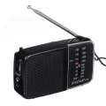 BUĞZ Taşınabilir cep radyosu siyah renk FM radyo bluetooth yok 2 yıl garantili - Elektronik