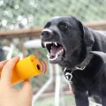 BUĞZ Ultrasonik Köpeksavar Köpek Kovucu Köpek Kornası Eğitim Cihazı