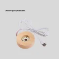 BUĞZ USB Bağlantılı Işıklı Kristal Küre Modern Ahşap Tabanlı Dekor
