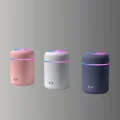 USB Girişli Taşınabilir Mini Nemlendirici 300ml Su Hazneli