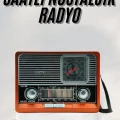  Vintage Nostaljik Radyo AUX USB SD Kart Girişli Şarjlı Bluetooth Bağlantılı