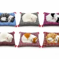 BUĞZ Yastıkta Uyuyan Kedi Sesli Alk24