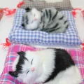 BUĞZ Yastıkta Uyuyan Kedi Sesli Alk25