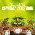 BUĞZ Konserve Bahçem Evde Konservede Kolay Ispanak Yetiştirme Kiti