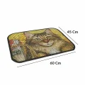 Cattie Kum Toplayıcı Fonksiyonel Renkli Kedi Paspası 45 x 60 cm