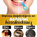 Diş Leke Silgisi 1 Aparatlı + 5 Yedek Süngerli Set 1 Paket