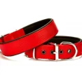 Doggie Comfort Köpek Boyun Tasma 3*55 cm Kırmızı