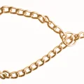 Doggie Eğitim Serisi Zincirli Köpek Boyun Tasması 3,5x55 cm - Gold