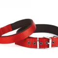 Doggie Konfor Seri Dokuma Köpek Boyun Tasması 4x57-65cm Kırmızı