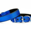 Doggie Köpek Tasması Softlu 3 cm x 65 cm Mavi