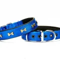 Doggie Softlu Kemik Desenli Köpek Tasması 2,5 cm x 50 cm Mavi