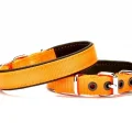 Doggie Softlu Köpek Boyun Tasması 2 cm x 40 cm Turuncu