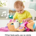 Fisher Price Eğitci Köpekçiğin Kız Kardeşi (Türkçe)