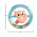 Fisher Price Sensimals Dişlik Seti Hrb21