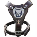 Gladyatör Deri Köpek Göğüs Tasması XL 60*80 cm