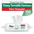 Havlu Easy Clean Yüzey Temizlik Havlusu 100 Yaprak Plastik Kapaklı (2 Li Set) 200 Yaprak